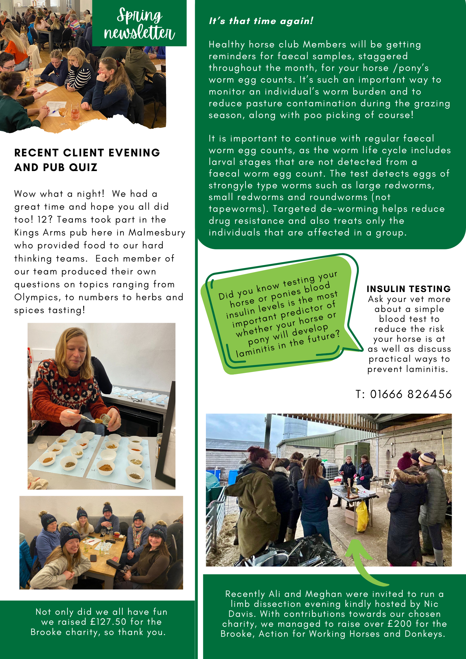 Spring newsletter from the Equine team