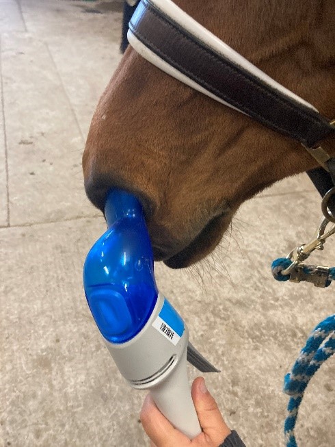 Equine inhaler