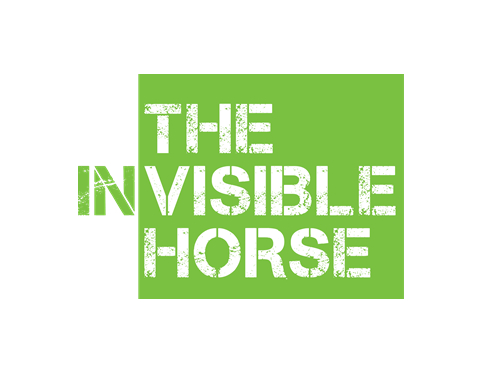 The Invisible Horse - World Horse Welfare