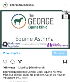 Equine Asthma 