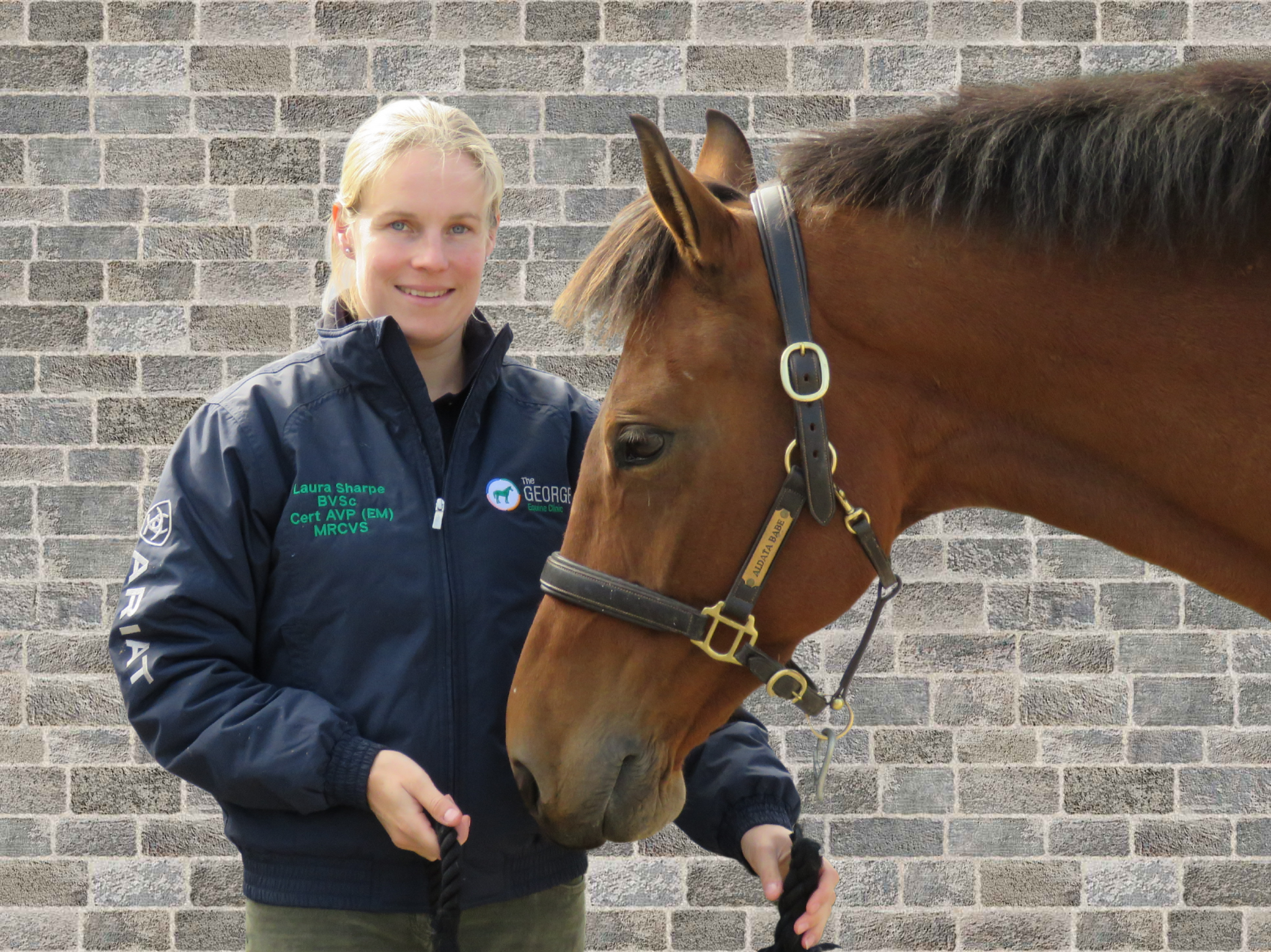 Laura Sharpe Equine Vet