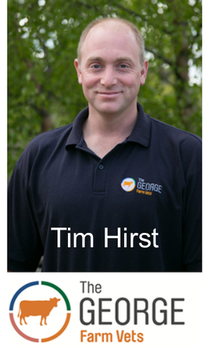 Tim hirst