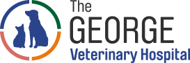 George Vet Group