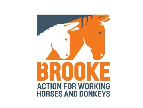 Brooke Equine Hospital