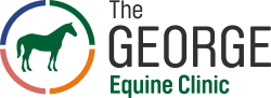 George Vet Group