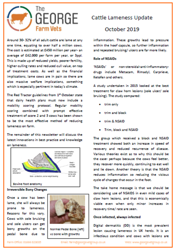 Cattle Lameness