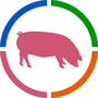 Pig scanning services