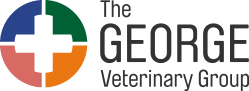 George Vet Group