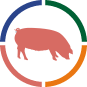 Preventing heat stress in pigs