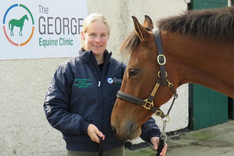 Laura Sharpe Equine Vet