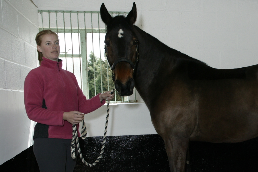 Jennie Scott of The George Equine Clinic