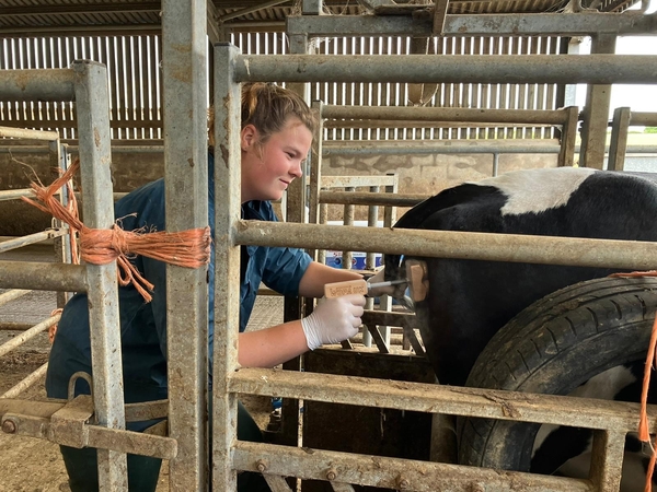 Rosie Paines - Veterinary Technician at The George Farm Vets