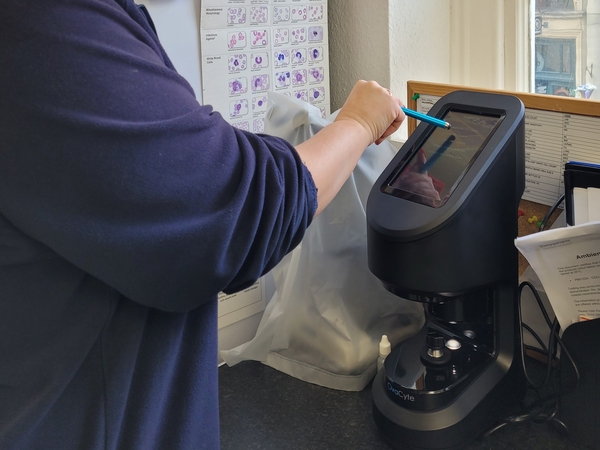 Worm eggs counts in the laboratory at The George Farm Vets