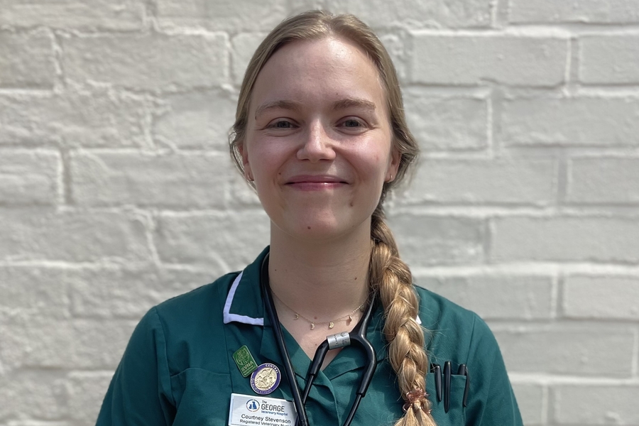 Courtney Stevenson The George Veterinary Hospital