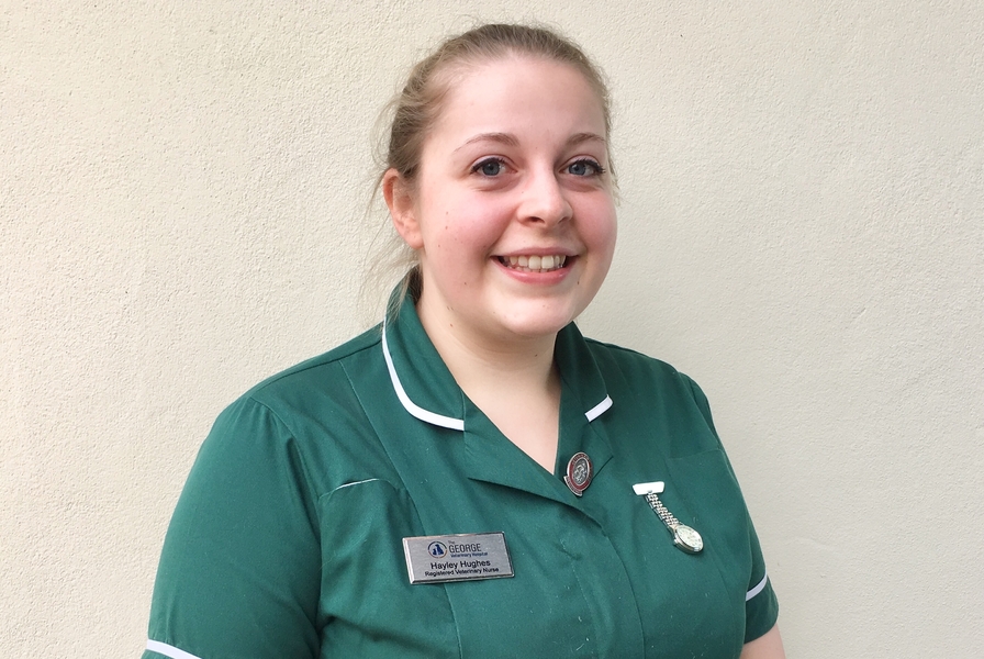 Hayley Hughes - The George Veterinary Hospital