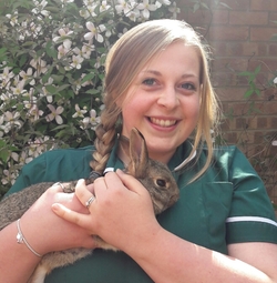 RVN Hayley Hughes at The George Veterinary Hospital