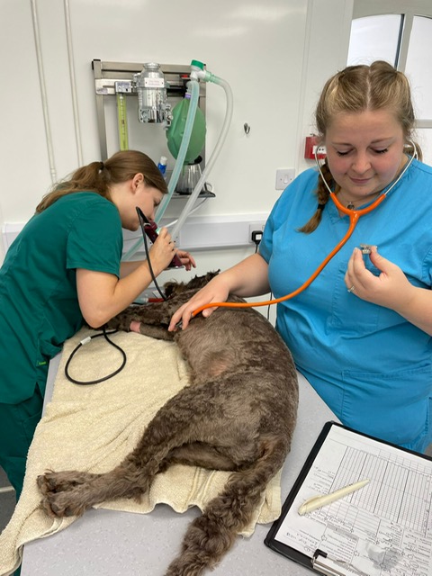 Naomi and Hayley with a patient at The George