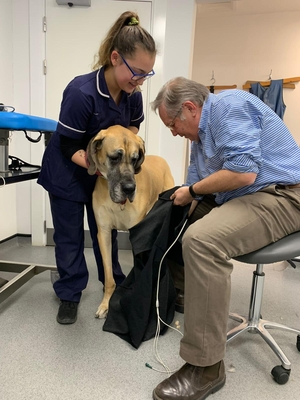 Libby Baker at The George Veterinary Hospital