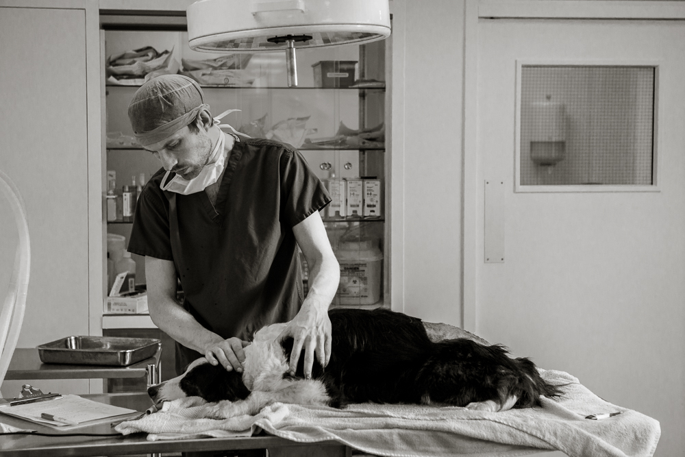 Iain Hunt - The George Veterinary Hospital